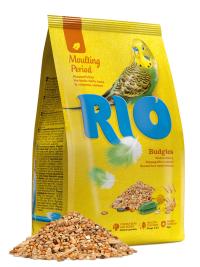 RIO ���� ��� ��������� ������������. ������ � ������ ������